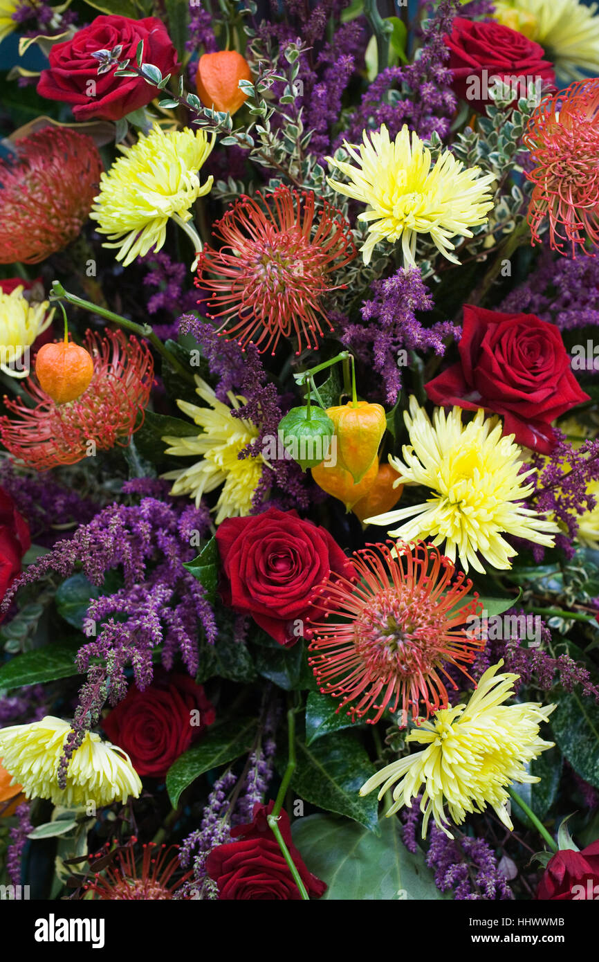 Una disposizione di fiori d'autunno. Foto Stock