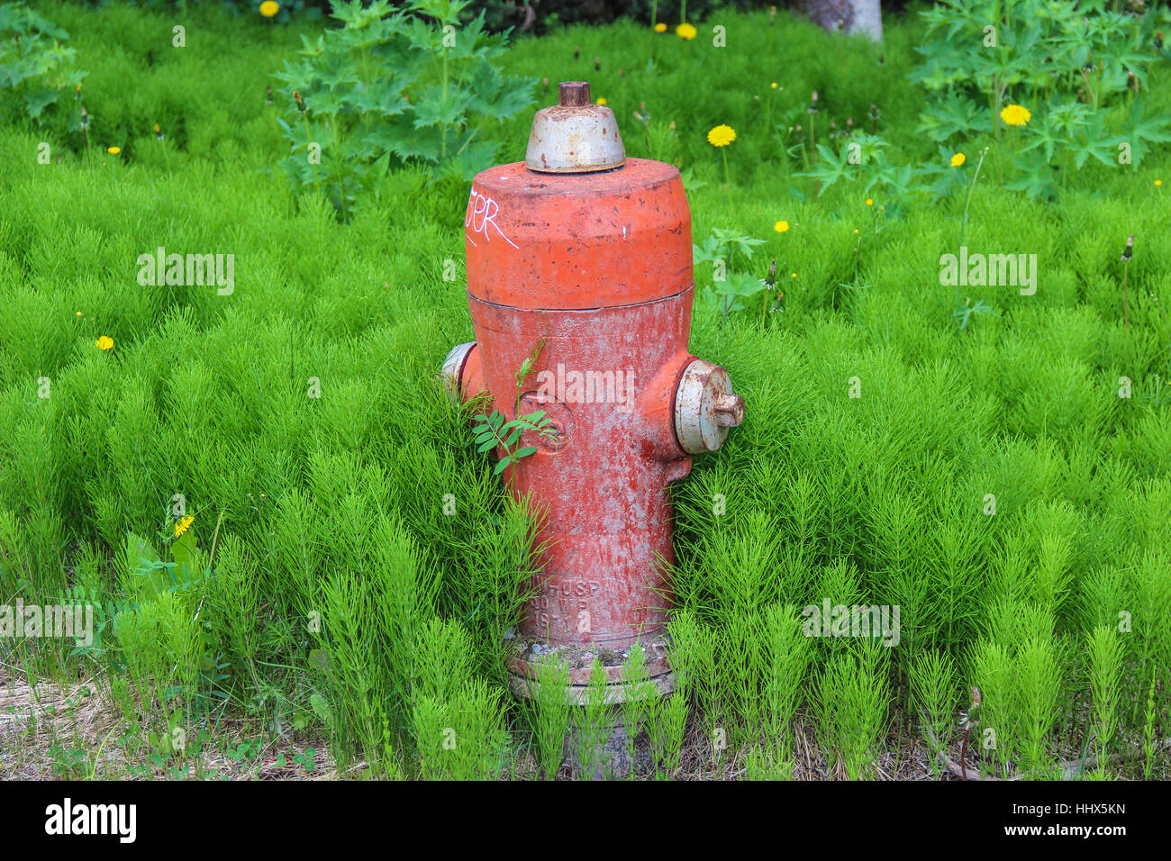 Idrante di fuoco al Lago Louise, Canada. Foto Stock