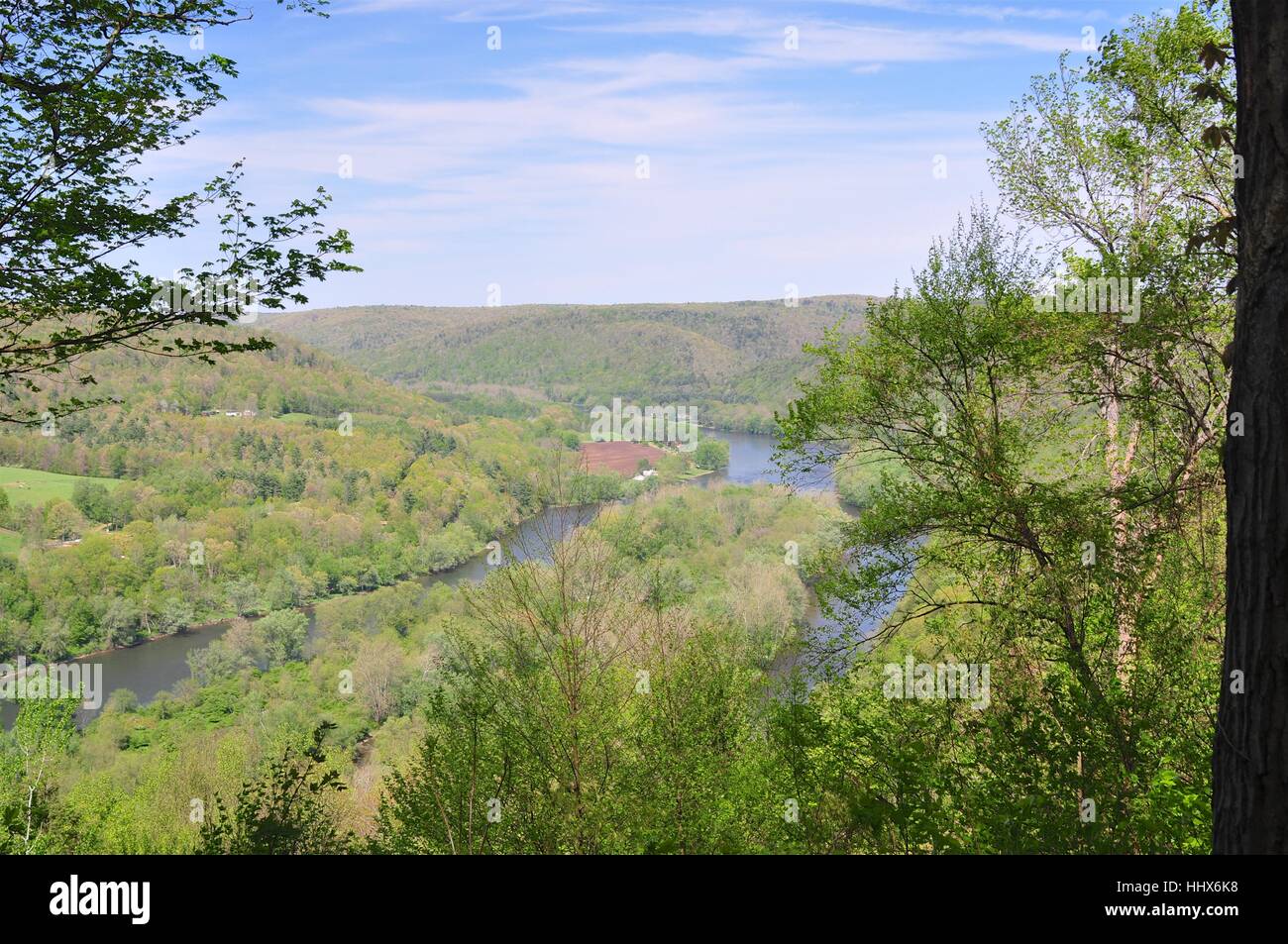 Allegheny River, Allegheny National Forest, Pennsylvania Foto Stock
