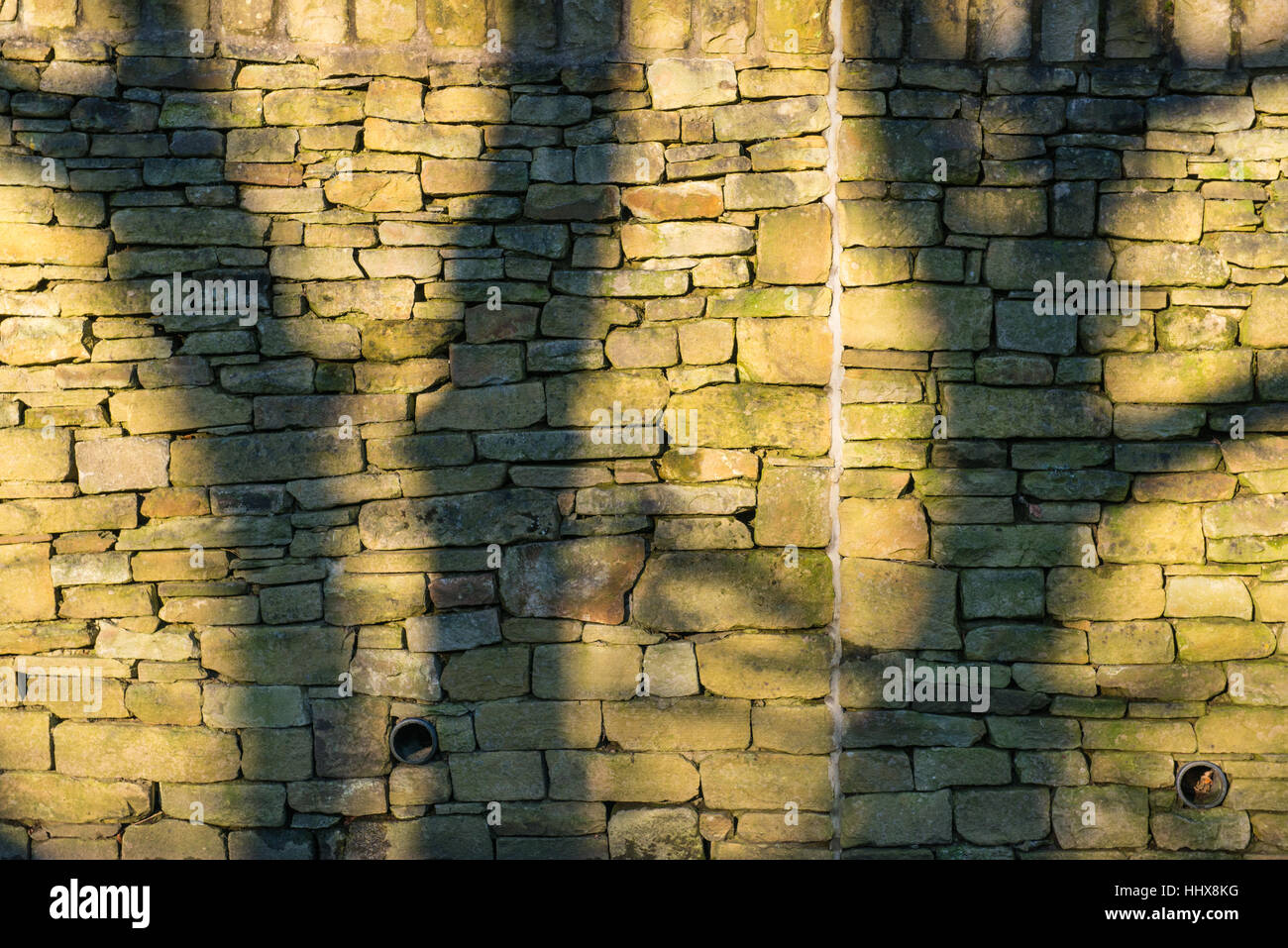 Le ombre degli alberi si getta su di una parete di stalattite nel tardo pomeriggio. Foto Stock
