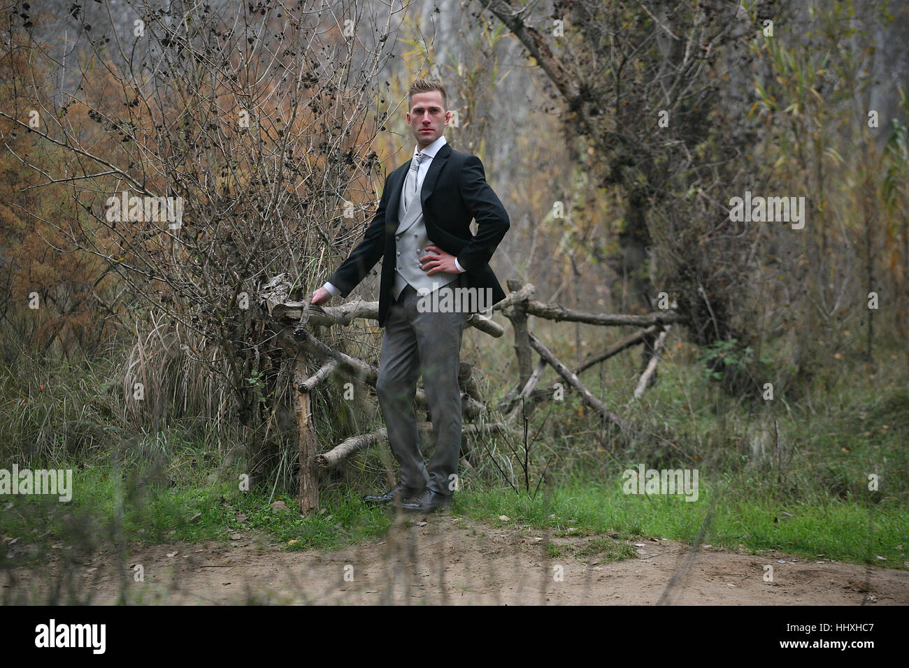 Un gentiluomo nel bosco Foto Stock