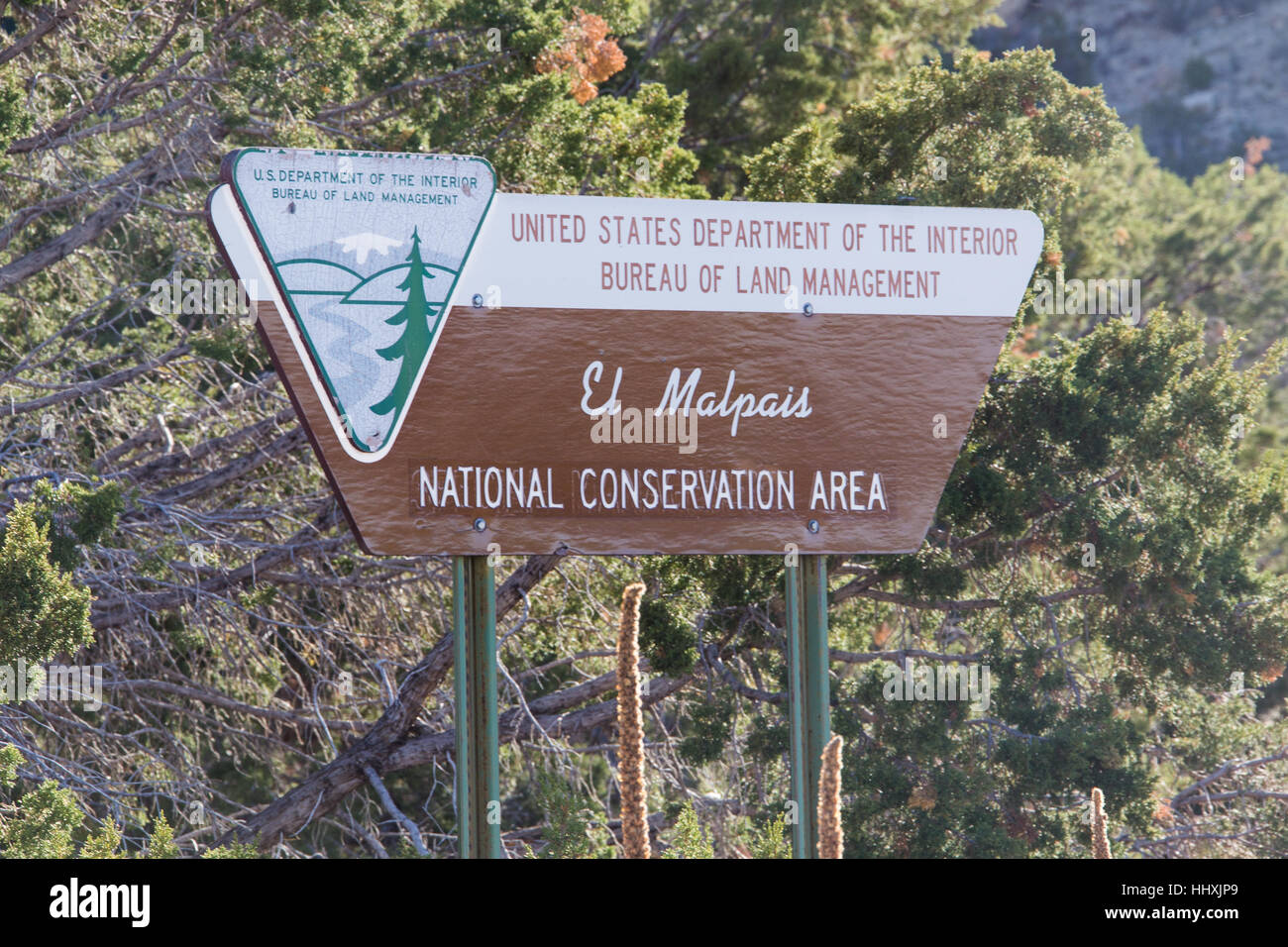 El Malpais National Conservation Area Foto Stock