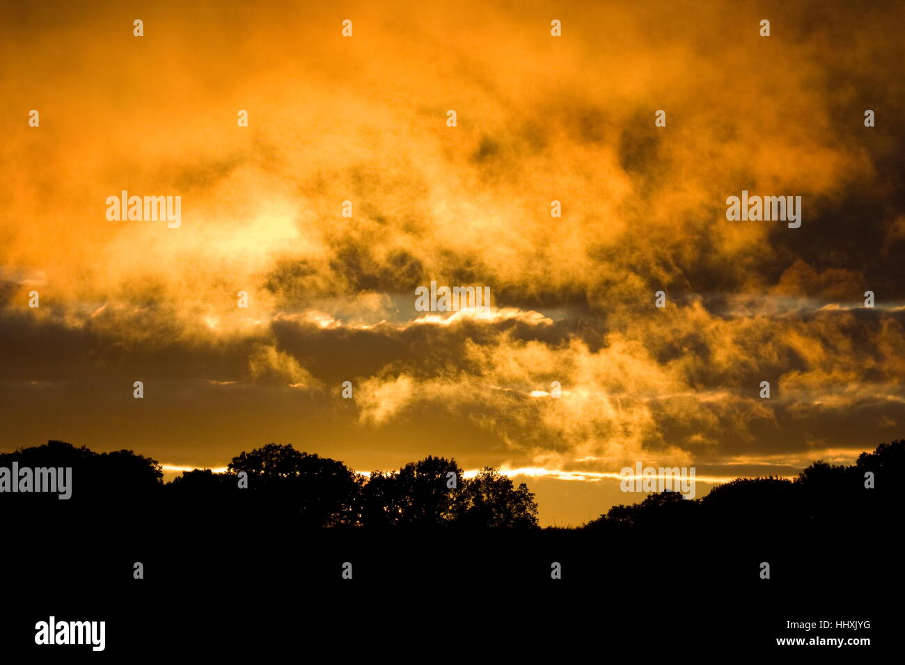 Firey tramonto incandescente nuvole contro gli alberi vecchi basando Basingstoke Hampshire Foto Stock