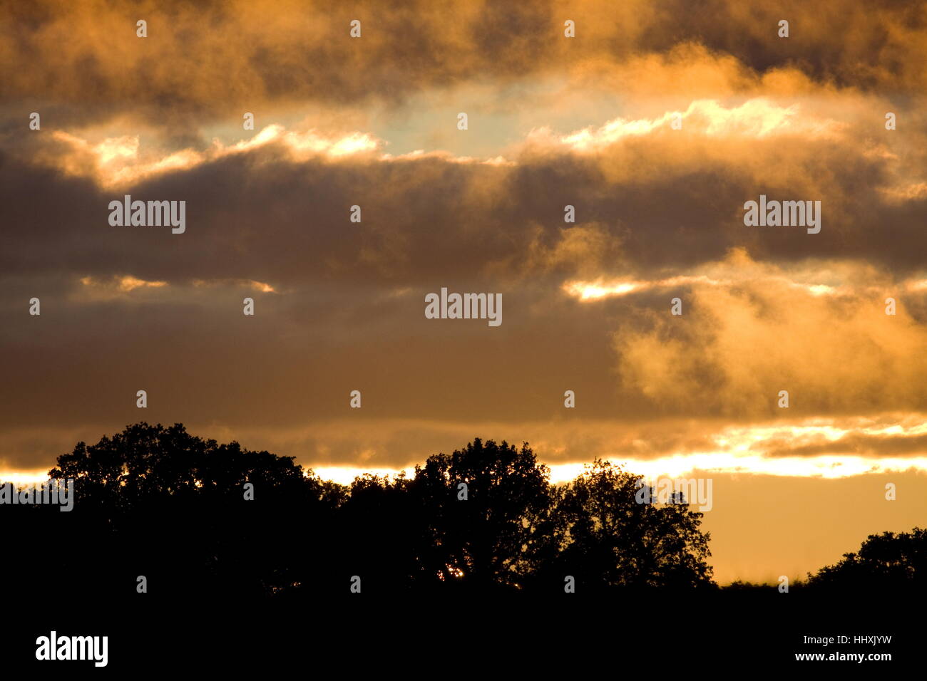 Firey tramonto incandescente nuvole contro gli alberi vecchi basando Basingstoke Hampshire Foto Stock