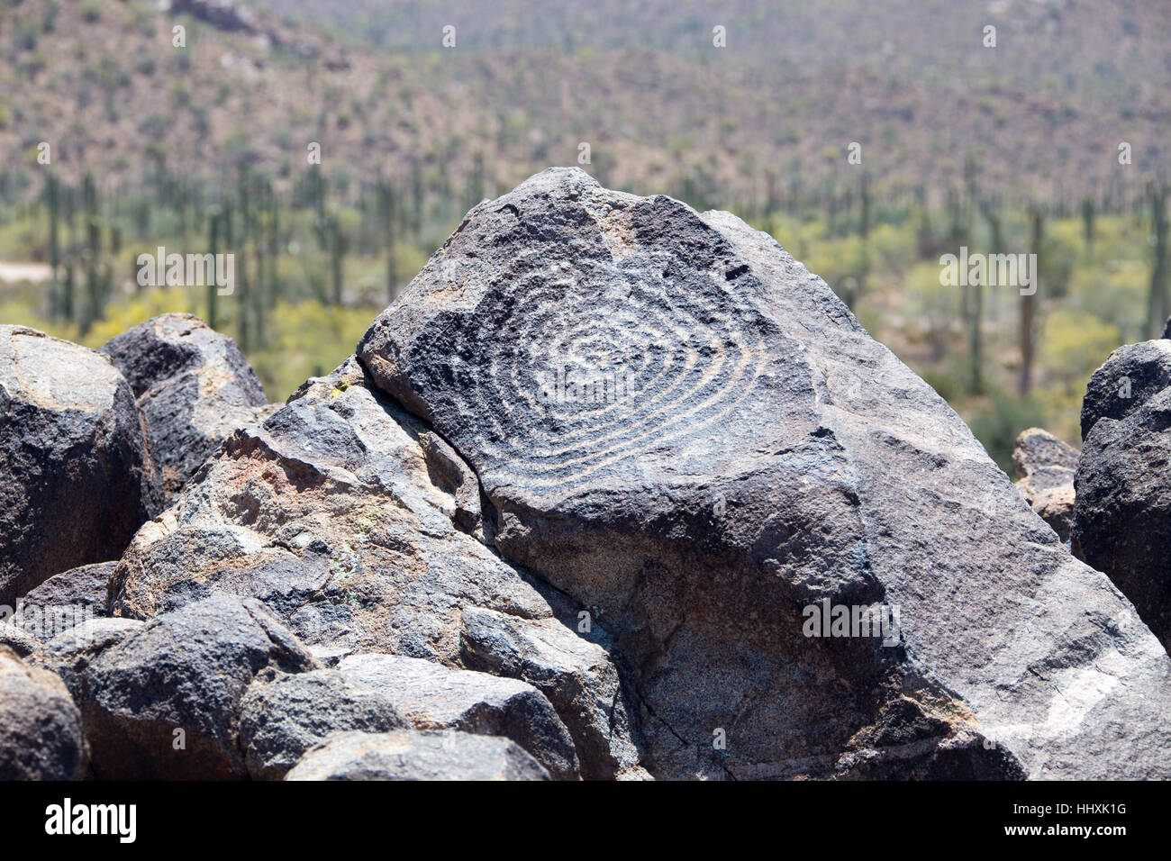 Hohokam preistorici native american petroglifi Parco nazionale del Saguaro,Tuscon,Arizona Foto Stock