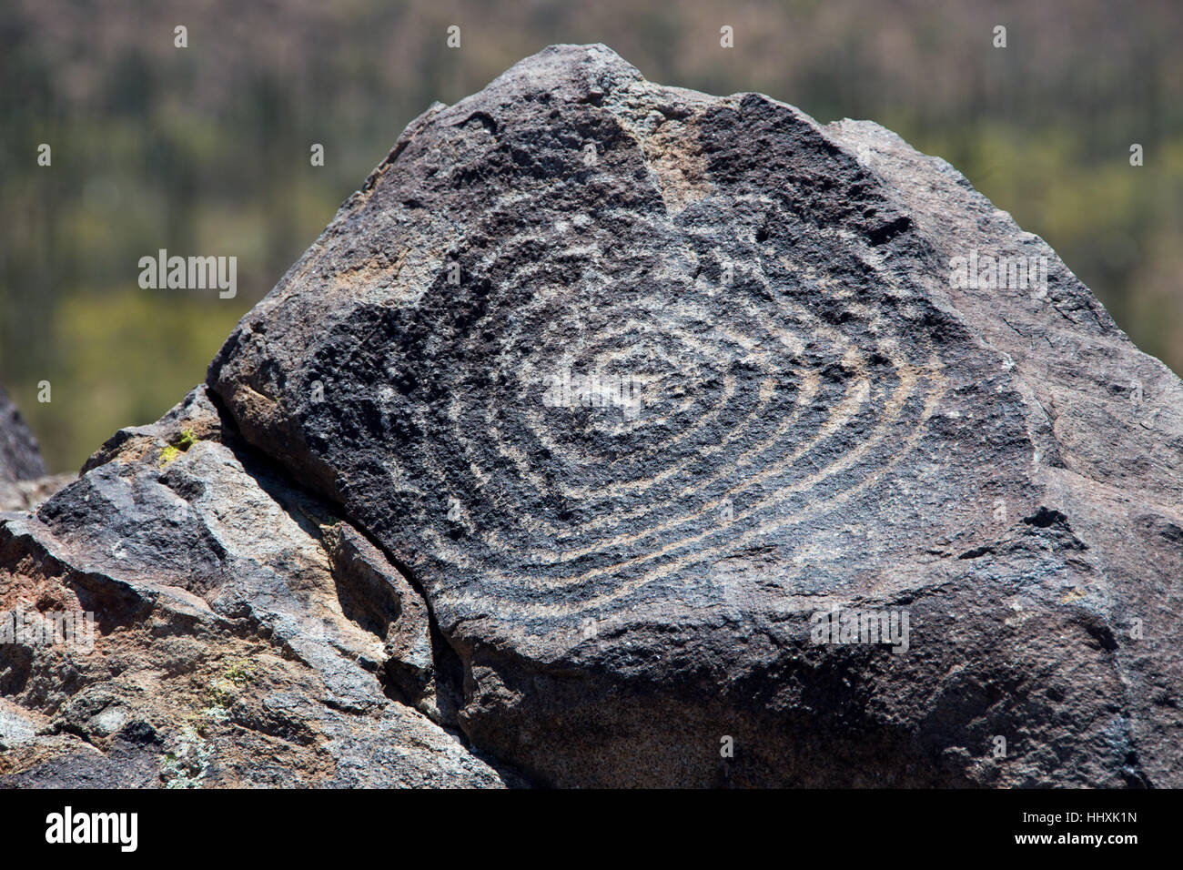 Hohokam preistorici native american petroglifi Parco nazionale del Saguaro,Tuscon,Arizona Foto Stock