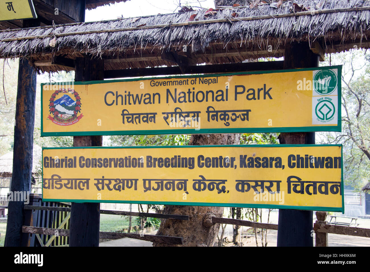 Gharial Crocodile conservazione e centro di allevamento, Chitwan il parco nazionale, il Nepal Foto Stock