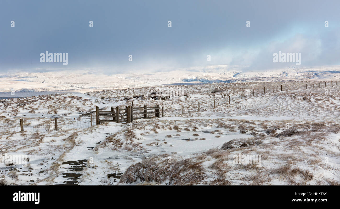 Grande Shunner cadde Summit Foto Stock