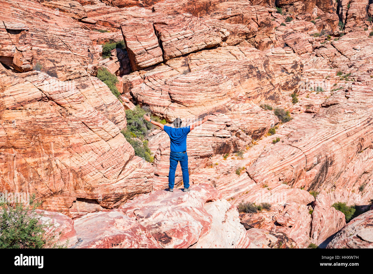 Uomo adulto che esprimono la libertà su una roccia al Red Rock Canyon National Conservation Area, Las Vegas, Nevada, USA. Foto Stock