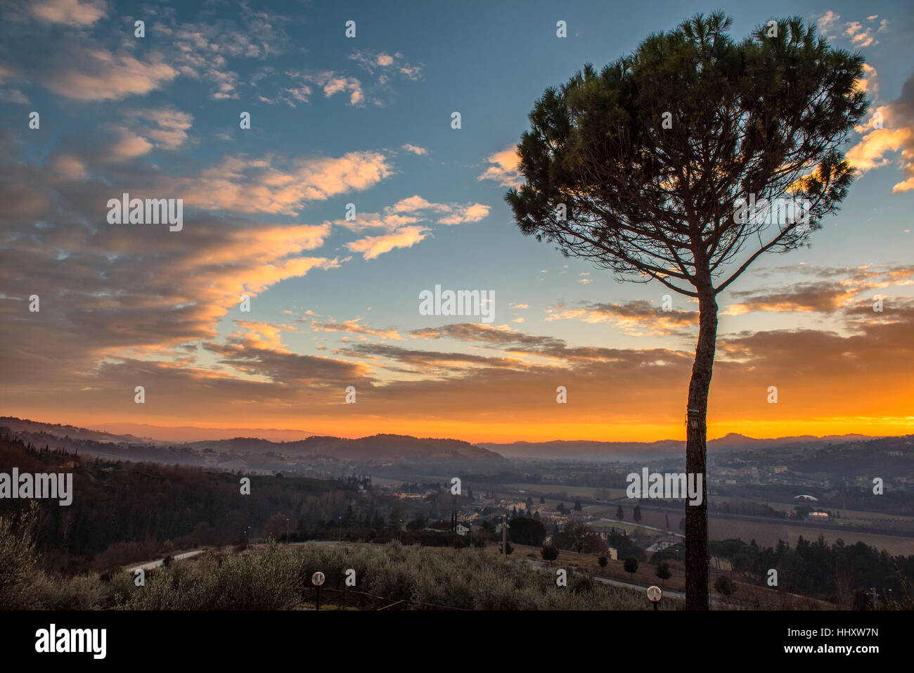 Le più belle immagini della campagna umbra, vicino a Perugia, al tramonto con un grande albero di pino in silhouette in primo piano Foto Stock