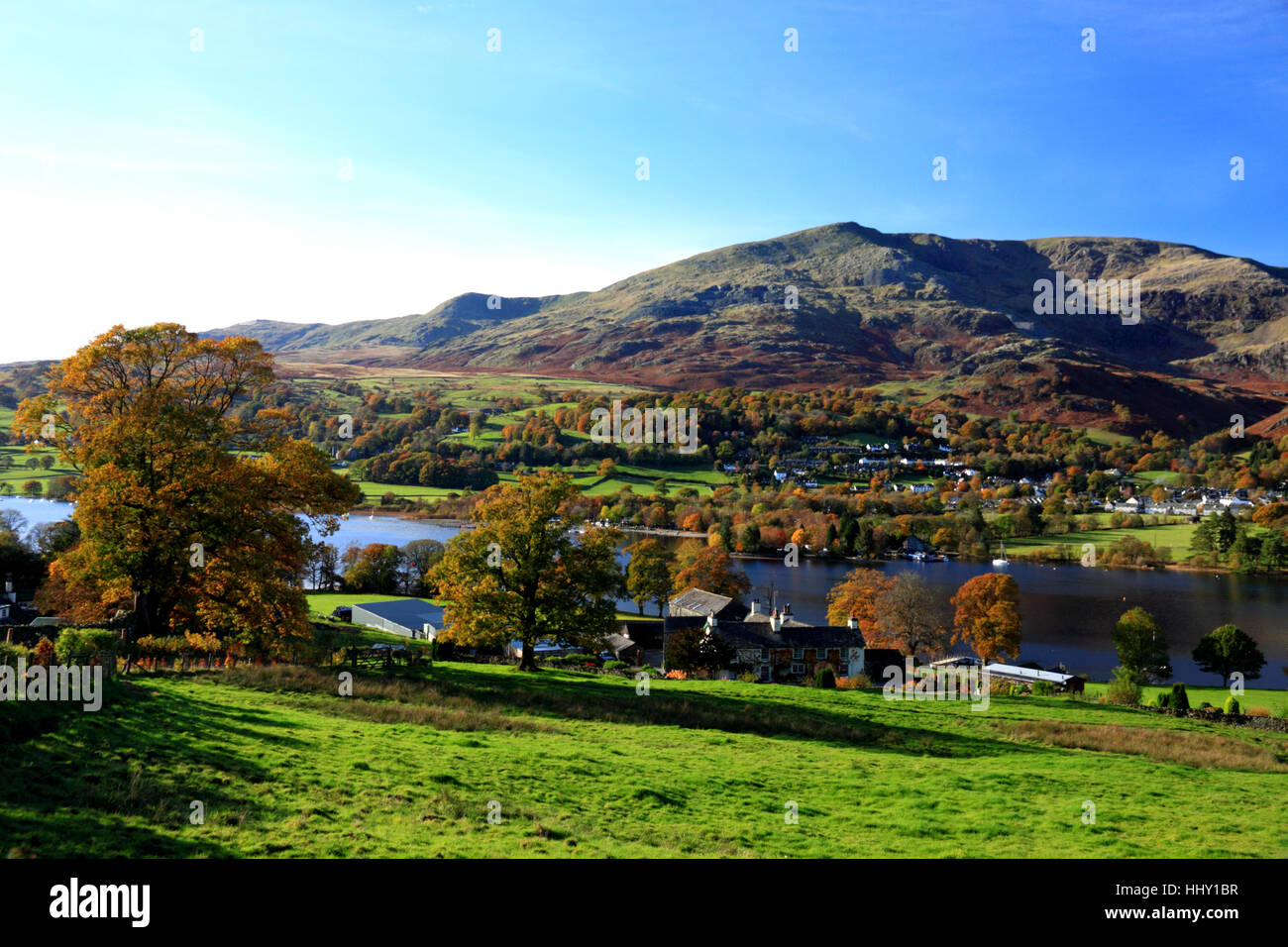 Coniston Water e il vecchio uomo, Cumbria. In primo piano è la Banca agricola di massa, Holly Howe in Arthur Ransome di rondini e amazzoni. L'autunno. Foto Stock