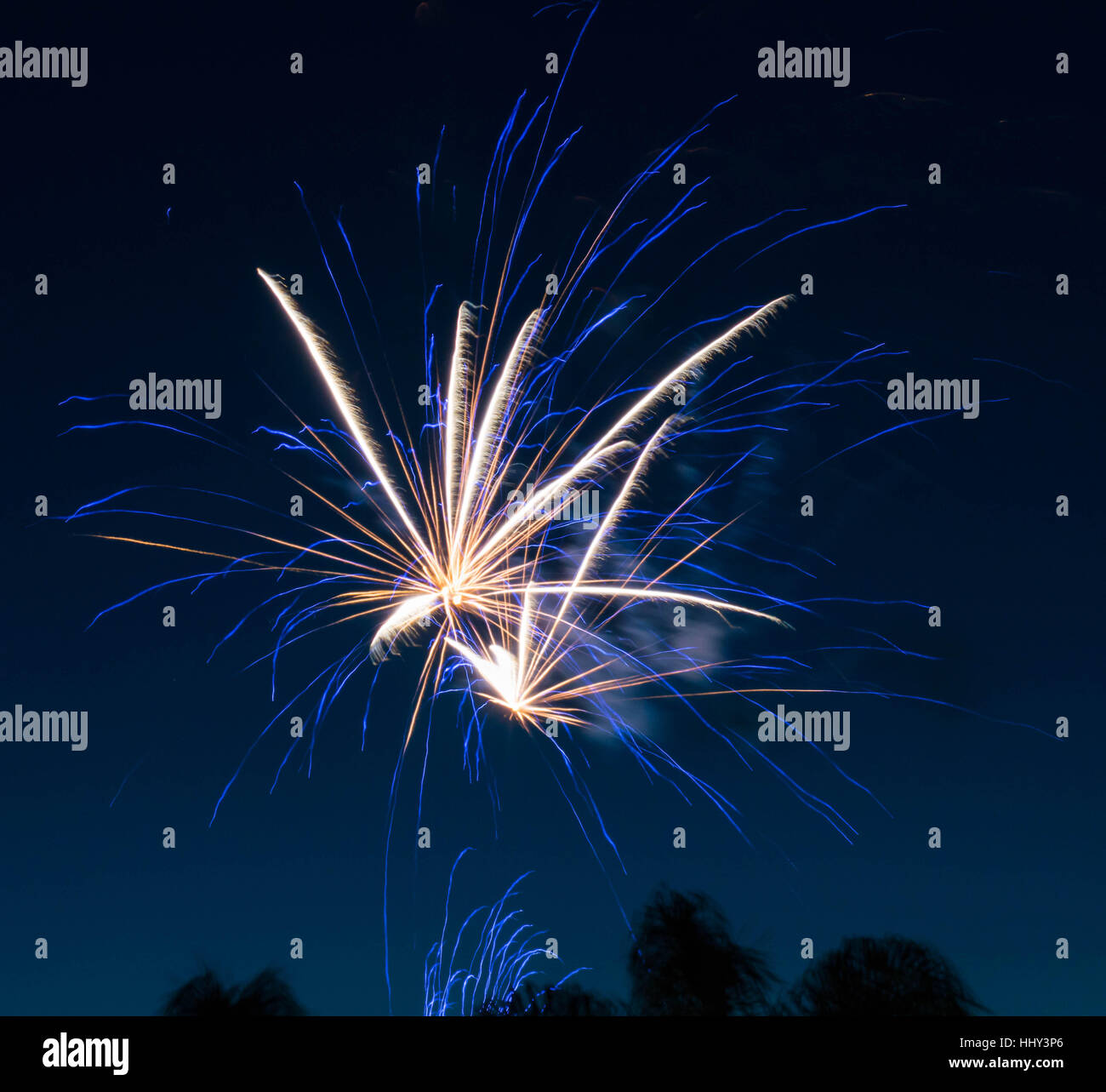 Fuochi d'artificio Foto Stock