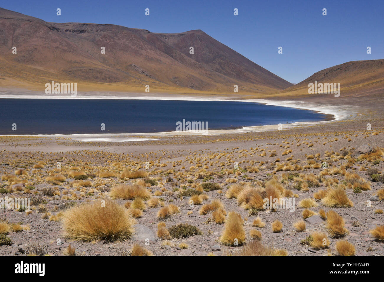 Laguna Miñiques nel deserto di Atacama, Reserva Nacional los Flamencos, Norte Grande del Cile Foto Stock