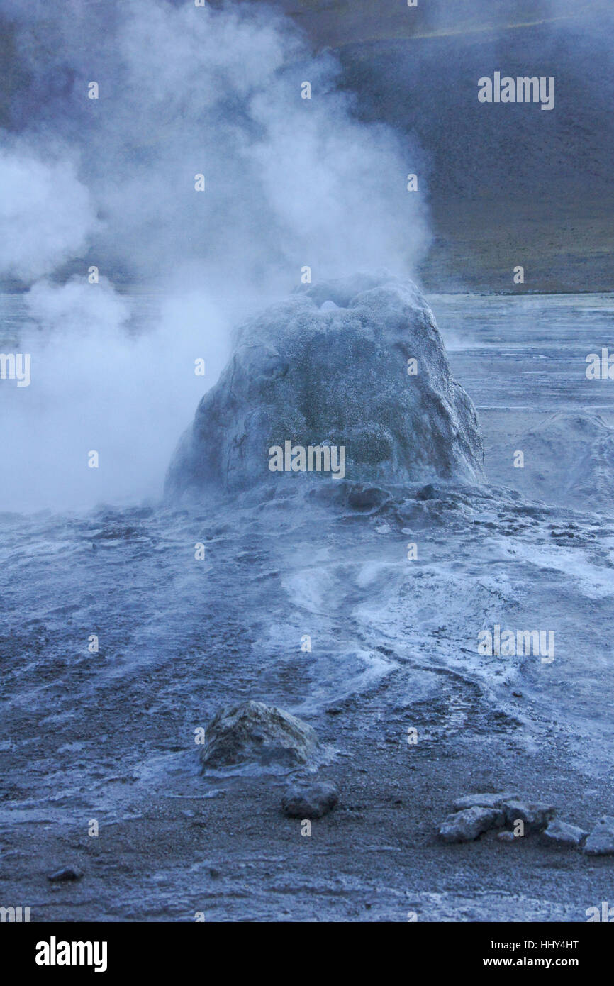 Il gorgogliamento, cottura a vapore geyser a geyser del Tatio, il Deserto di Atacama, Norte Grande del Cile Foto Stock
