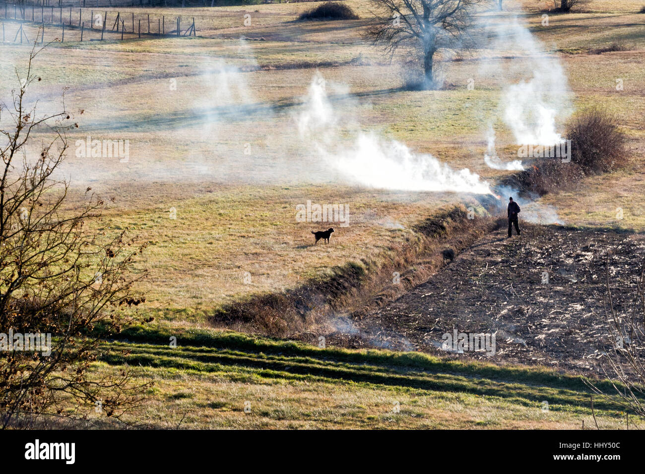 Agricoltura rurale, Italia. Controllato, prescritto ie masterizzazione consentito. Foto Stock