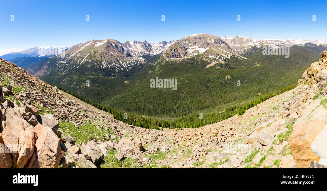 Panorama della valle con il verde della foresta negli Stati Uniti. Foto Stock
