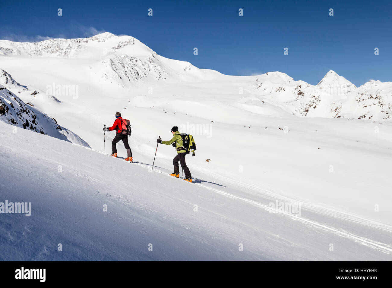 Sci alpinisti in salita al Köllkuppe, Cima Marmotta, nella neve, Alpi, Martell, Val Venosta, Alto Adige, Italia Foto Stock