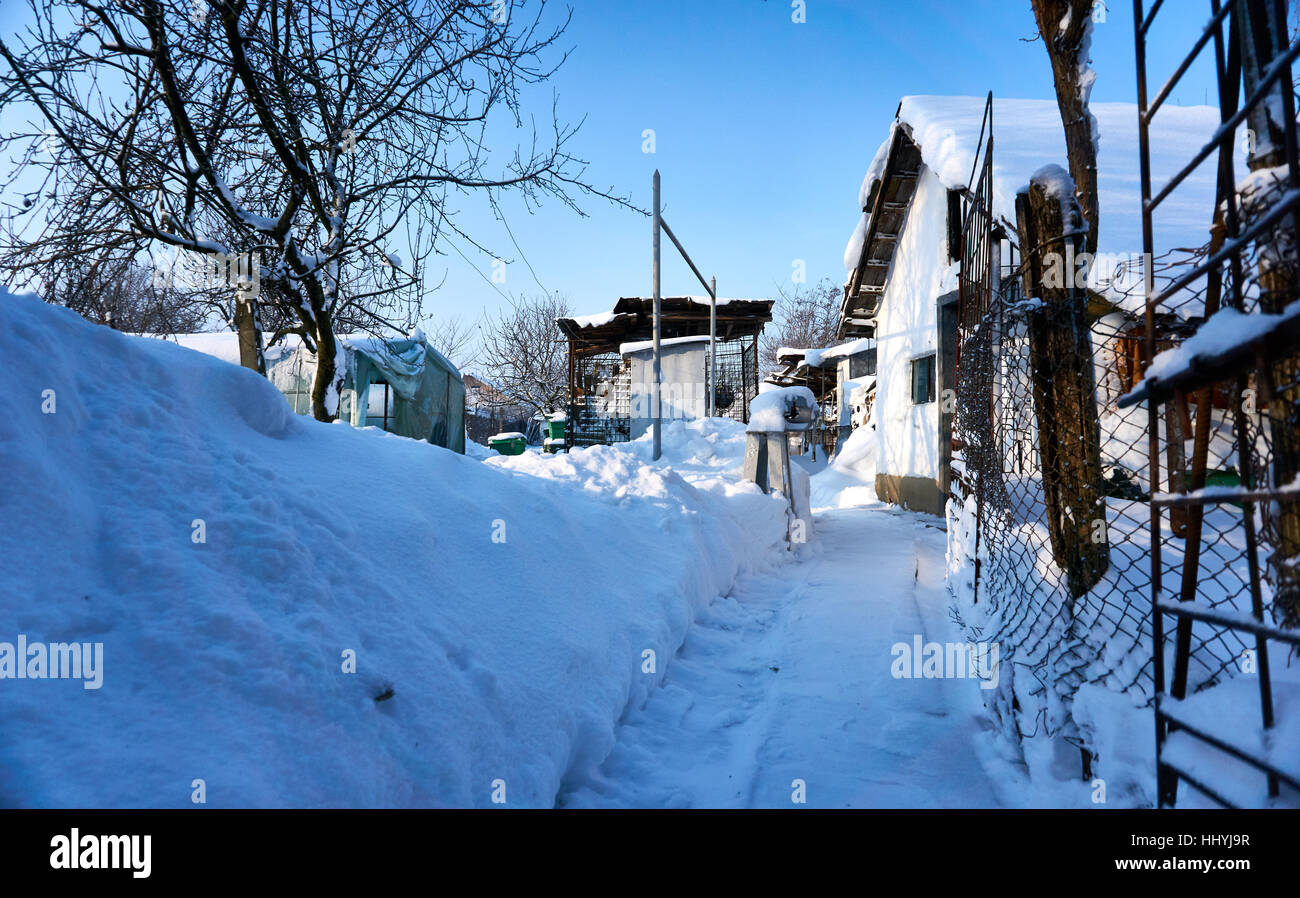 Bellissimi colori in inverno bianco e blu Foto Stock