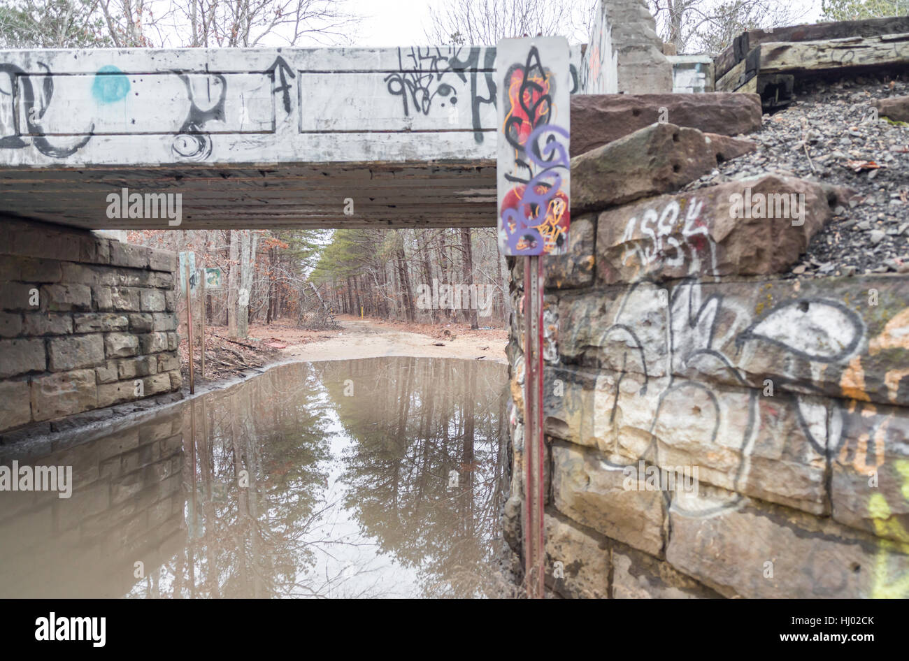 Vecchio coperto di graffiti ponte ferroviario con strada sterrata al di sotto Foto Stock