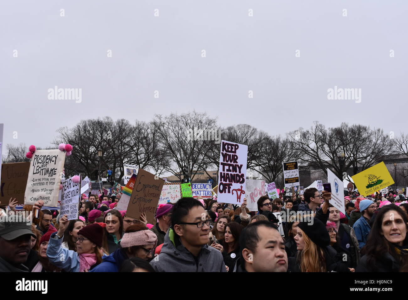 Washington, Stati Uniti d'America. Xxi Jan 2017. Manifestanti marzo nelle donne il marzo su Washington di Washington DC Credito: Carlos Romero Talamas/Alamy Live News Foto Stock