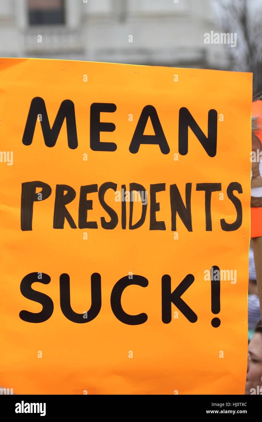 Washington, DC, Stati Uniti. Xxi gen, 2017. Le donne di marzo su Washington. Credito: Susan Pease/Alamy Live News Foto Stock