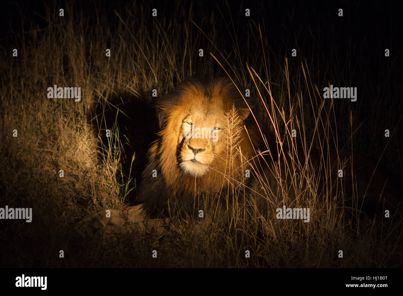 Singola, grande, grande, enorme, extreme, potente, imponente, immensa, pertinenti Foto Stock