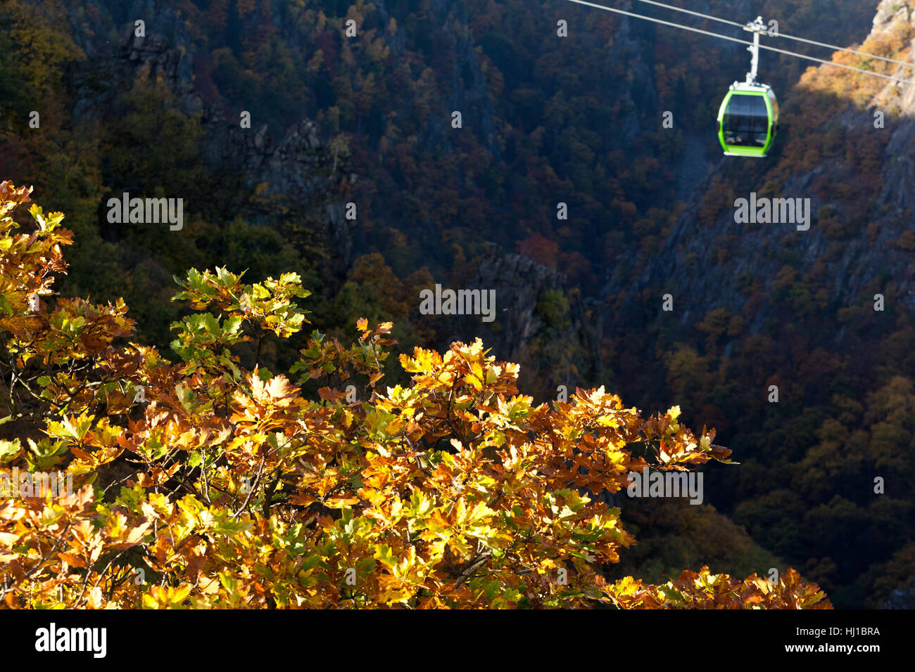 Boschi, valley, Vista, Vista, Outlook, prospettiva, vista panorama, lookout, Foto Stock