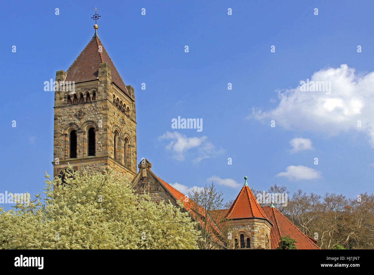 La chiesa, Steeple, parrocchiale evangelica, peterskirche, Torre, chiesa, fiorisce, molla Foto Stock