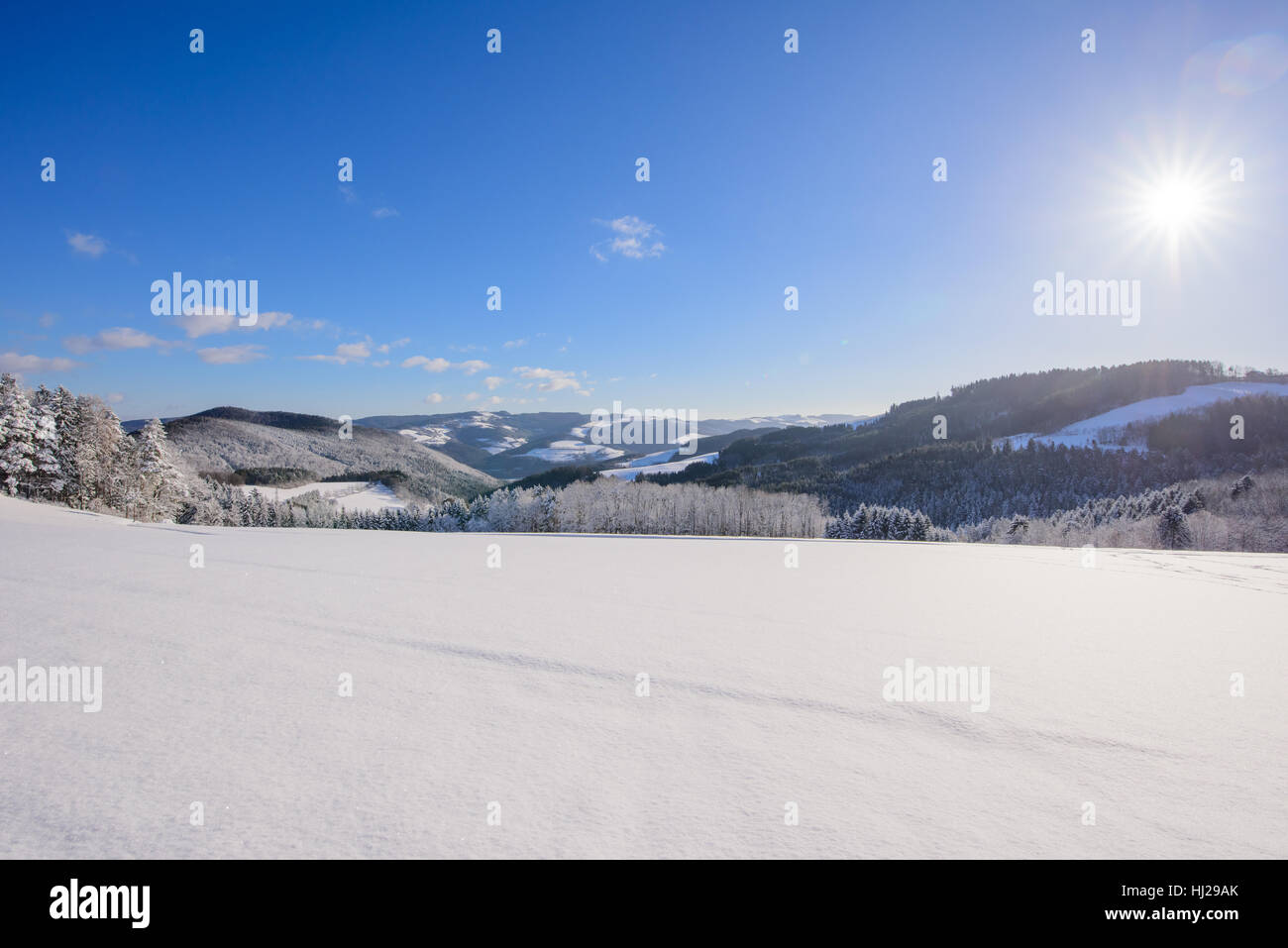Inverno pieno di sole sunrise,campo di neve,valley, blu cielo chiaro,luce brillante,scenic panorama verso l'orizzonte,pacifica idilliaca campagna bella Foto Stock