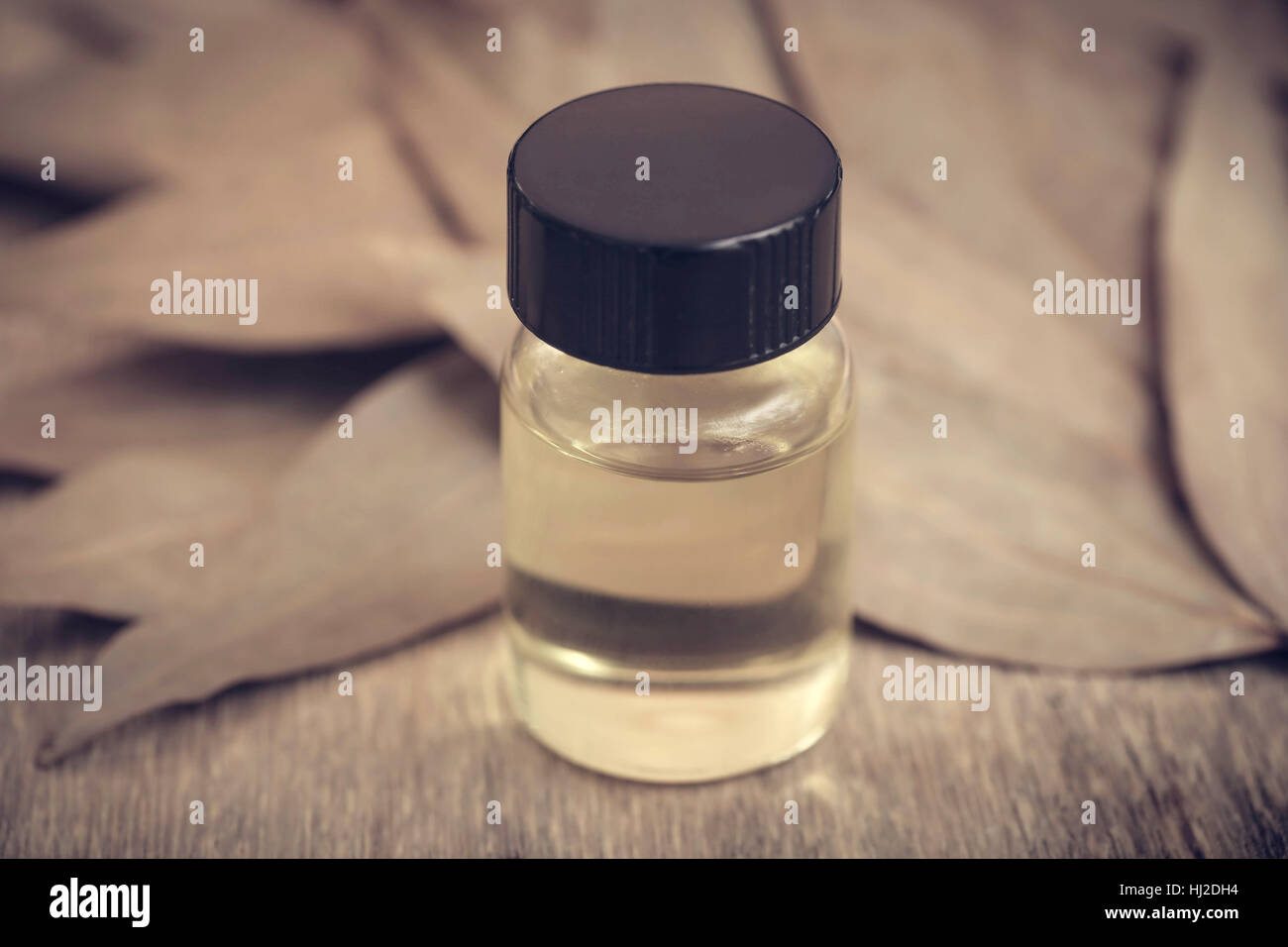 Foglie di alloro con olio essenziale in bottiglia su una superficie di legno Foto Stock