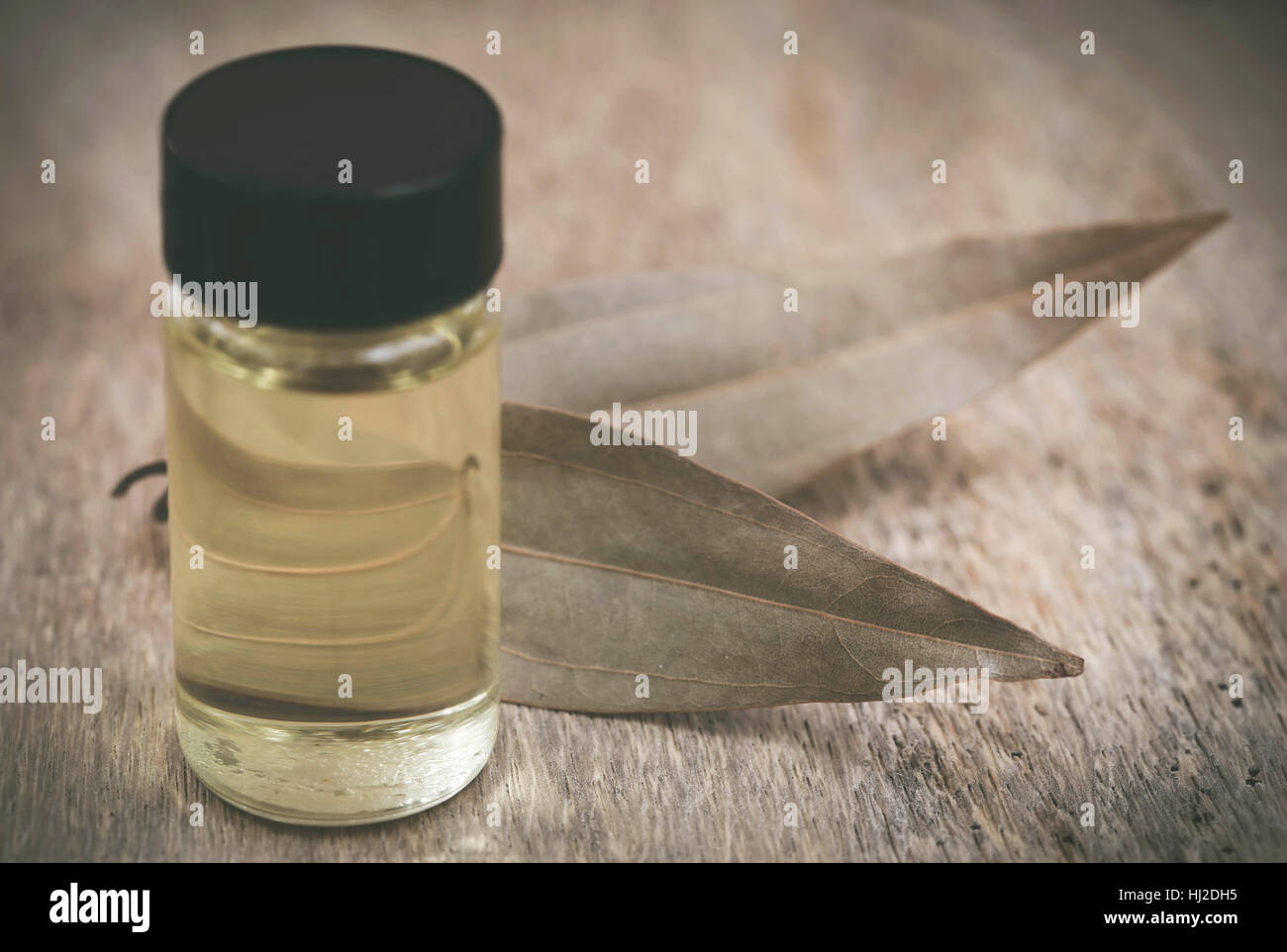 Foglie di alloro con olio essenziale in bottiglia su una superficie di legno Foto Stock