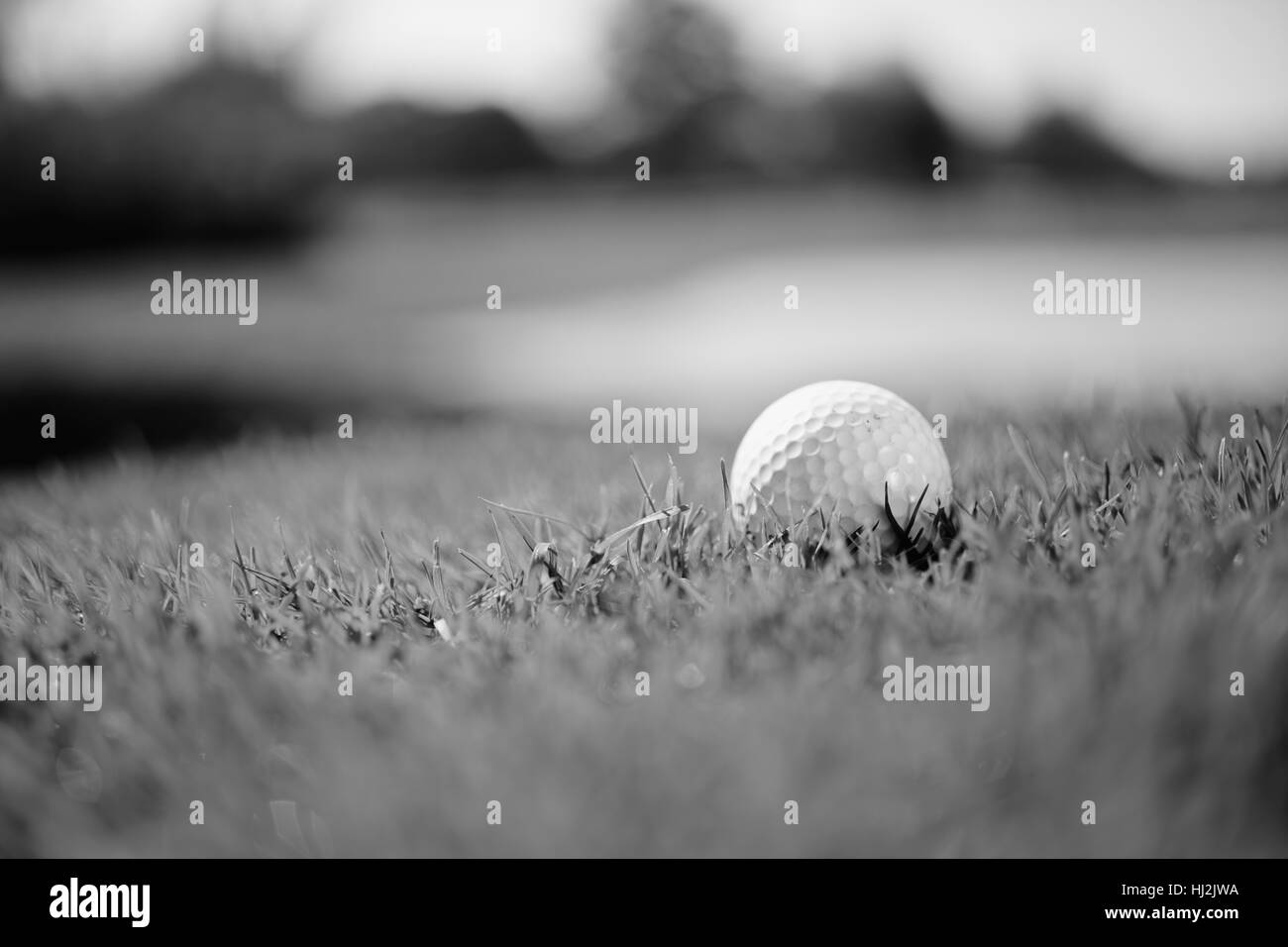 Palla da golf sul verde del prato, nota leggera profondità di campo Foto Stock