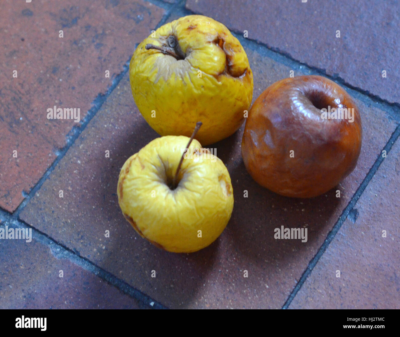 Tre vecchie mele gialle marcio Foto Stock