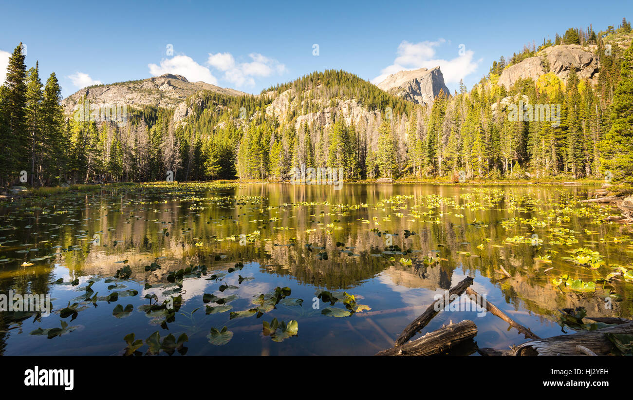 Picco Hallett riflessione nel lago di Ninfa, nella gola di Tyndall area del Parco Nazionale delle Montagne Rocciose, nei pressi di Estes Park, Colorado. Foto Stock