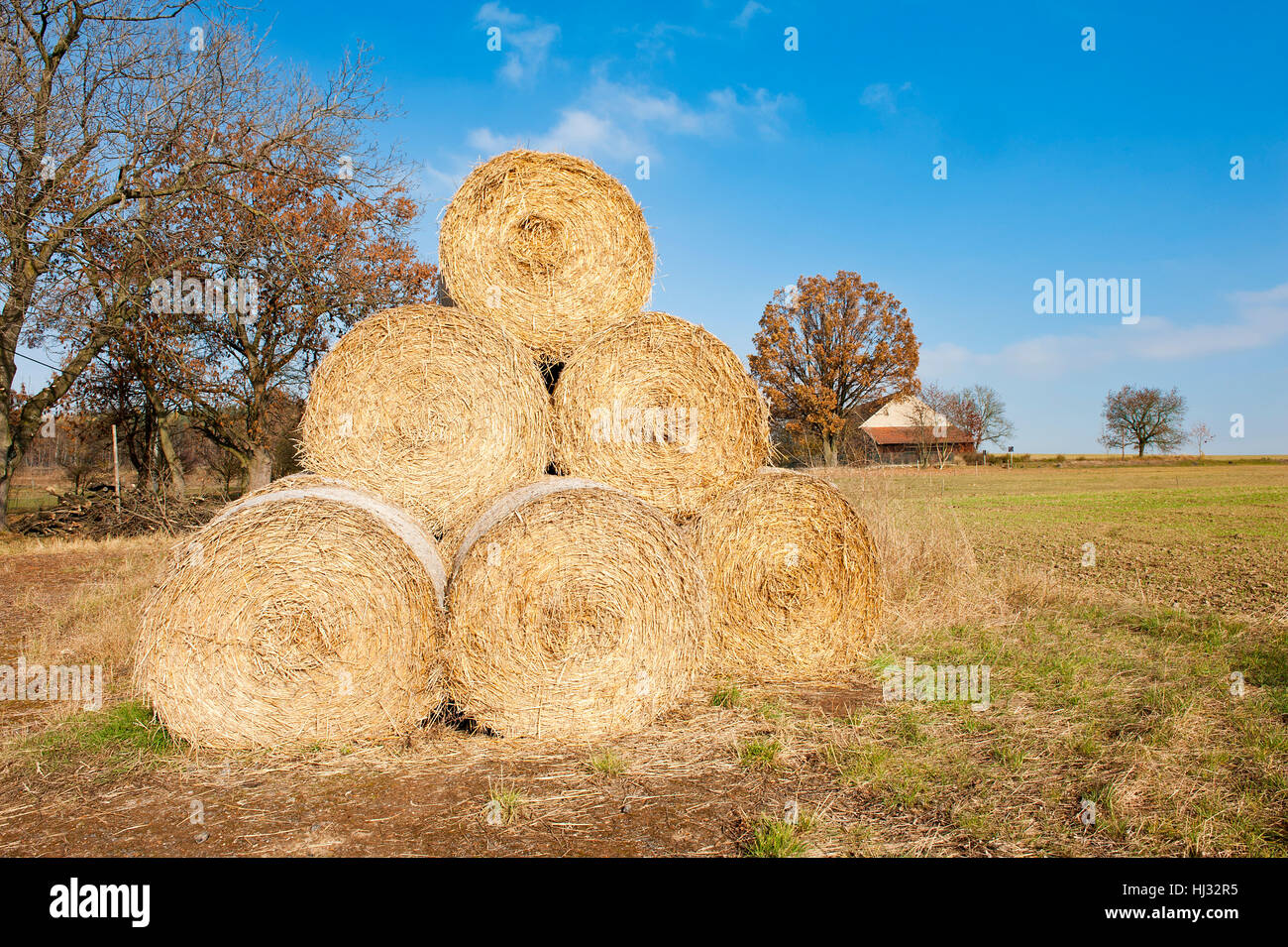 Rulli, rulli, agricoltura, allevamento, raccolto, piramide, pila, sei, fieno, Foto Stock