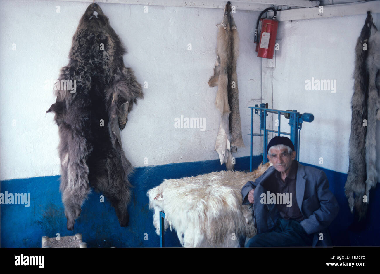 Il Concessionario di pelliccia con l'orso bruno (Ursus arctos) Pelle appesa al negozio o supermercato parete nella città vecchia di Ulus Ankara Turchia Foto Stock