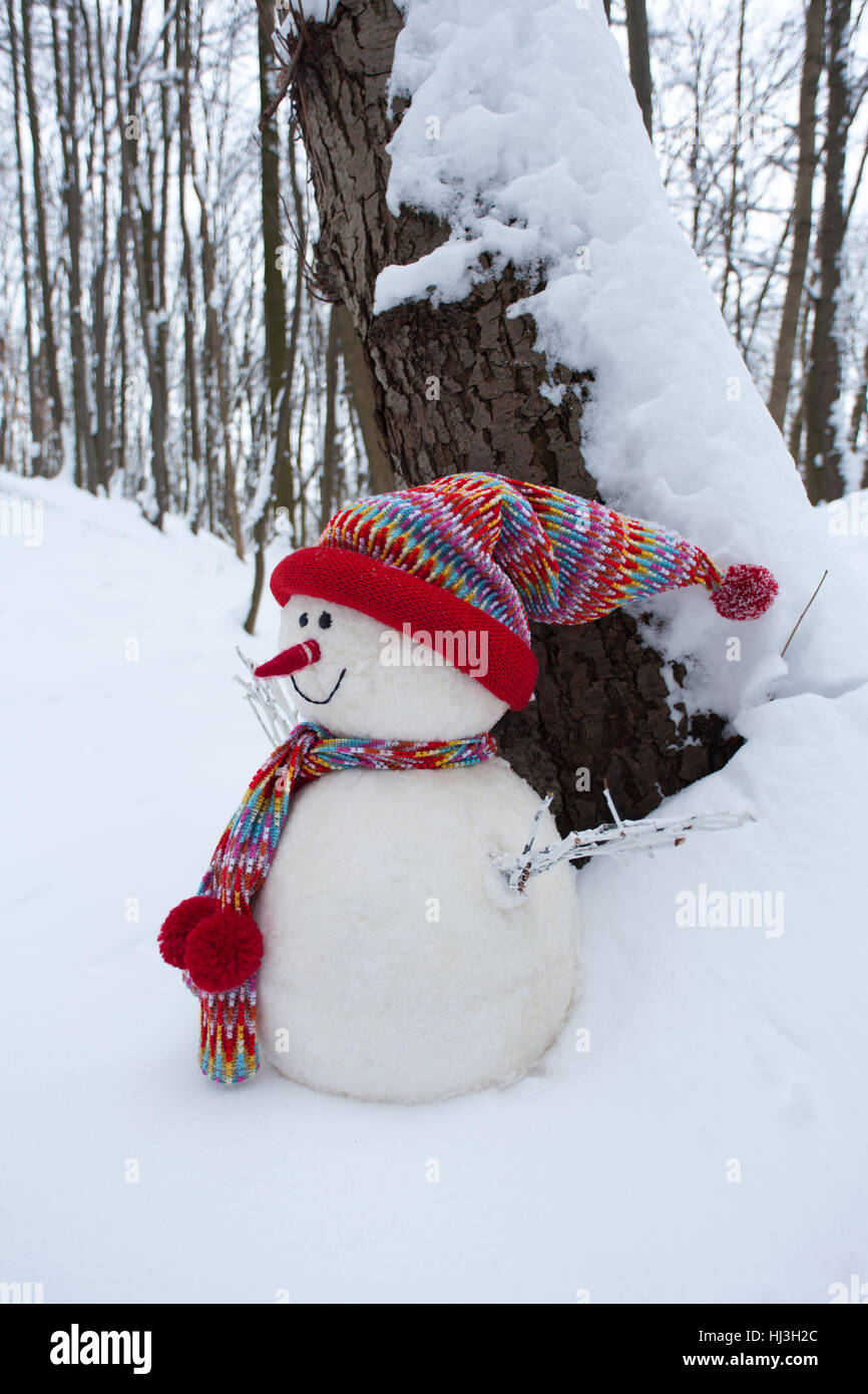 Inverno freddo, verticale, formato ritratto, cappuccio, sciarpa, stagione, pupazzo di neve, nessuno, Foto Stock