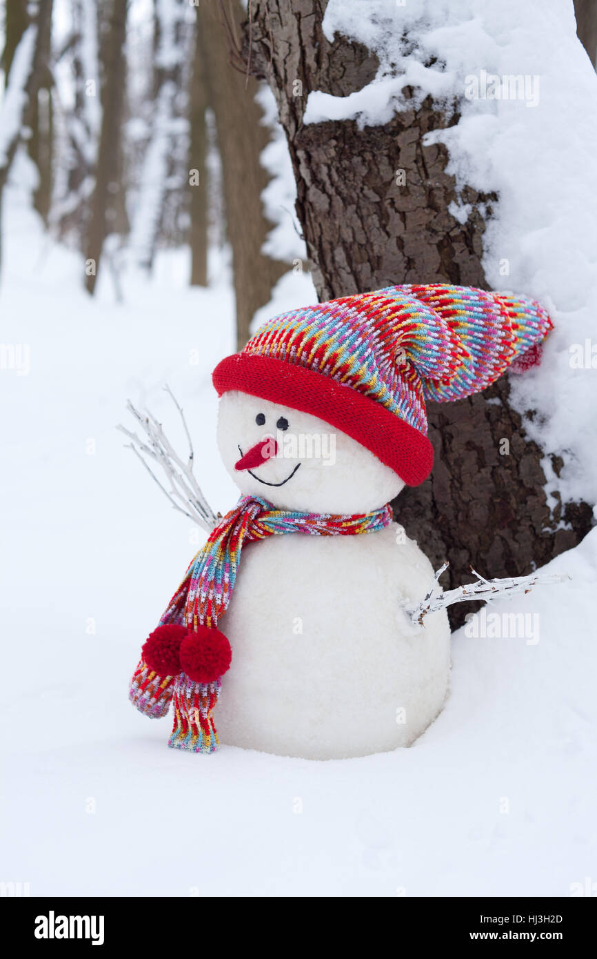Inverno freddo, verticale, formato ritratto, cappuccio, sciarpa, stagione, pupazzo di neve, nessuno, Foto Stock