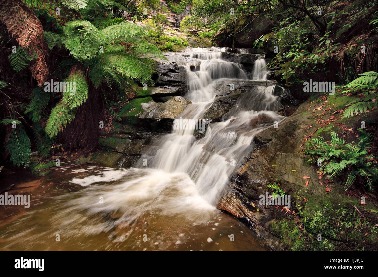 Cascate del flusso verso il basso di un pendio roccioso in un australiano foresta pluviale temperata. Foto Stock