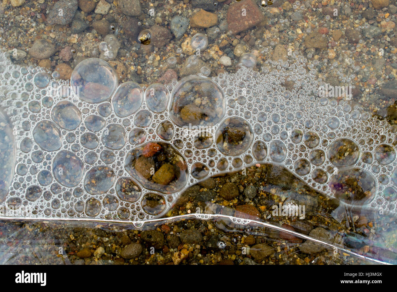 Le bolle di aria sotto congelati strato di acqua a margine di un lago, in inverno- sfondo astratto o texture Foto Stock