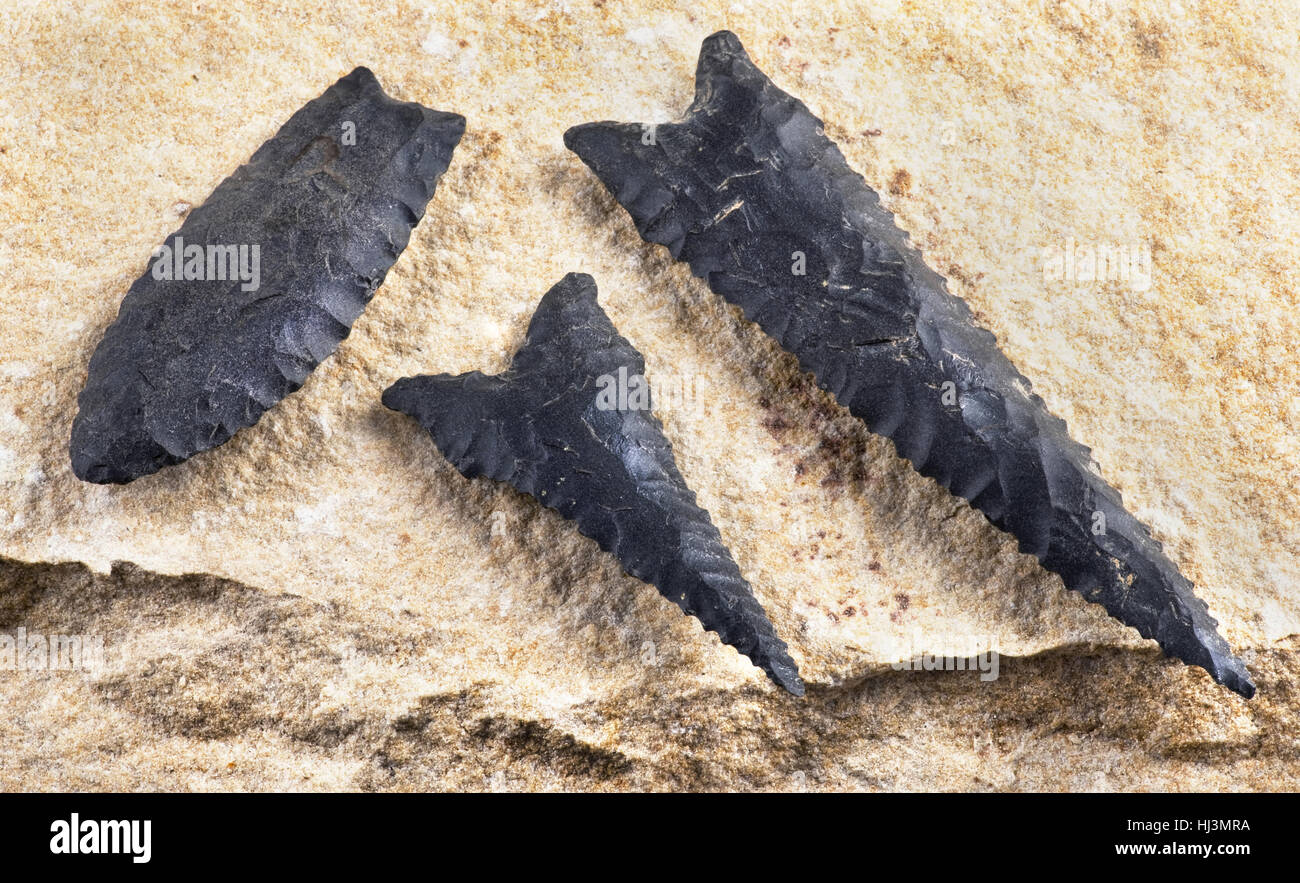 Paleo dalton dentellate di punte di freccia realizzato da 8000 a 9000 anni fa ha trovato nei pressi di Benton, Arkansas. Foto Stock