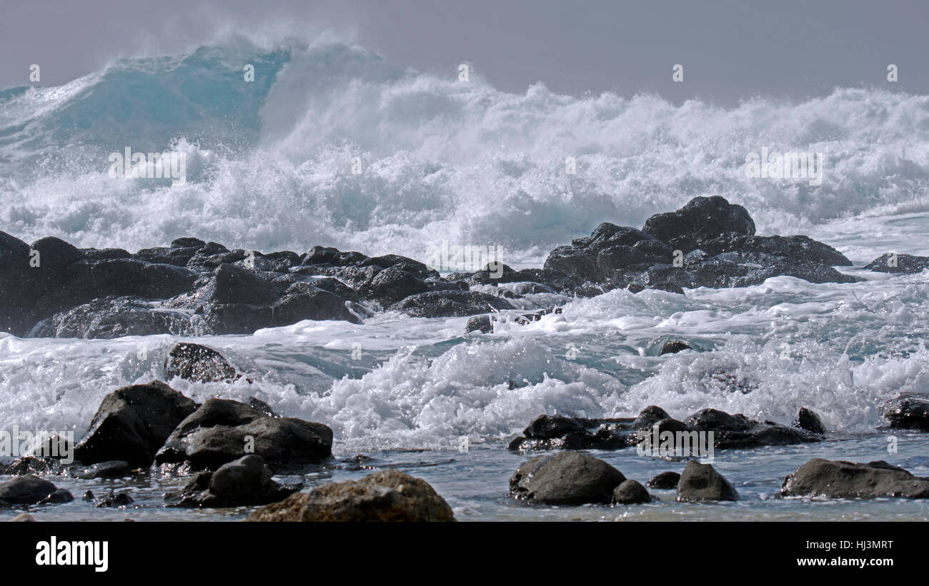Potenti onde si infrangono sulle rocce al punto Kaena, North Shore Oahu, Hawaii, STATI UNITI D'AMERICA Foto Stock