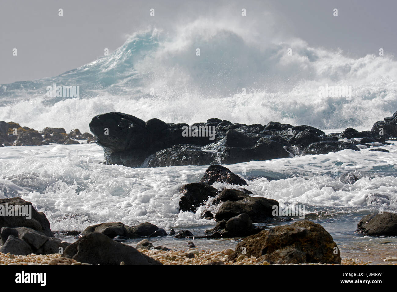 Potenti onde si infrangono sulle rocce al punto Kaena, North Shore Oahu, Hawaii, STATI UNITI D'AMERICA Foto Stock