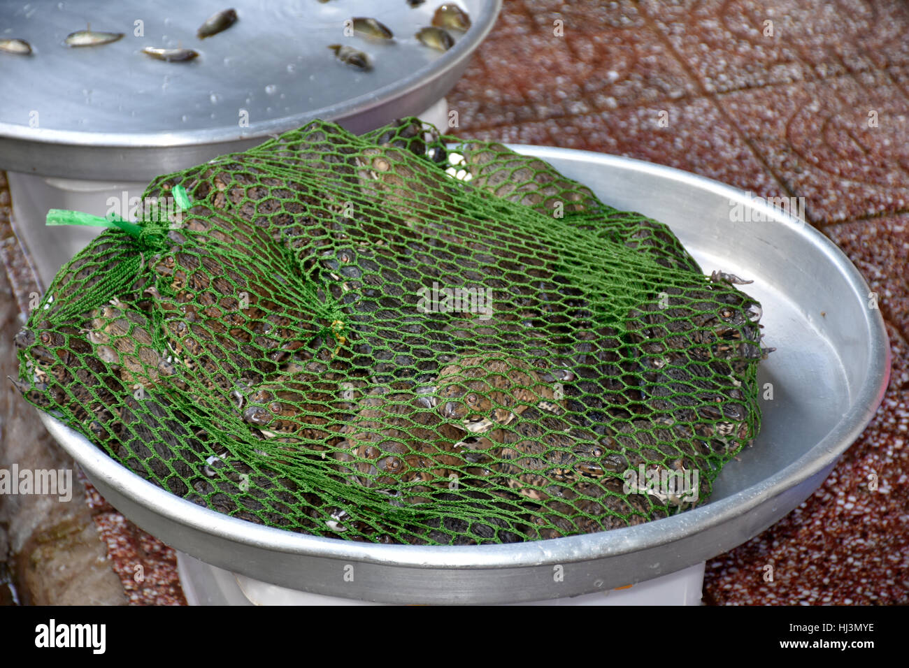 Frutti di mare per la vendita, Cho il mercato Ben Thanh, Ho Chi Minh City, Vietnam Foto Stock