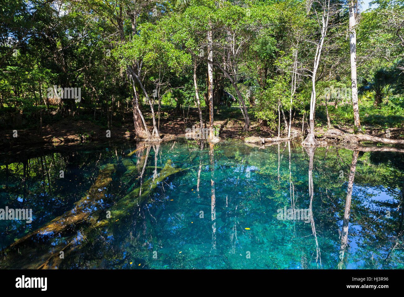 Piccolo lago nella foresta tropicale, paesaggio naturale della Repubblica Dominicana Foto Stock