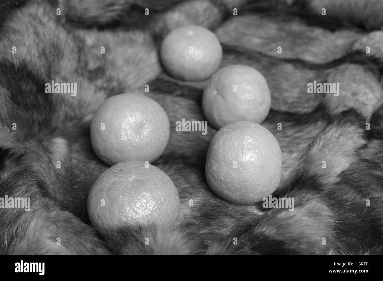 Bella in bianco e nero in stile dolce cinque mandarini laici sulle pellicce Foto Stock