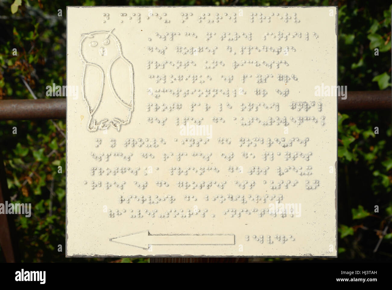 Informazioni in Braille pannello Braille o firmare in riserva naturale con contorno di gufo, Oppedette Gorge Alpes-de-Haute-Provence Provence Francia Foto Stock