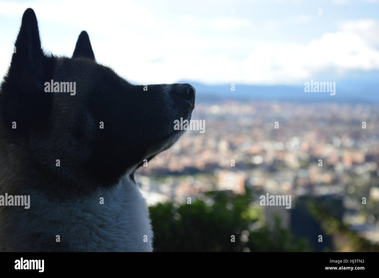 Sguardo al futuro Foto Stock