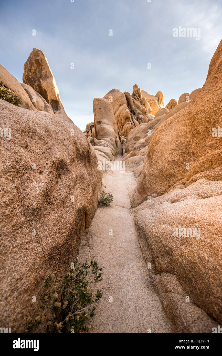 Un sentiero escursionistico lungo il perimetro del famoso Arch Rock mostra le uniche formazioni rocciose che hanno eroso nel corso di milioni di anni. Foto Stock