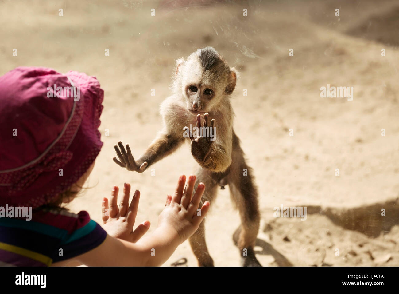 Monkey giocare con graziosi bambina Foto Stock